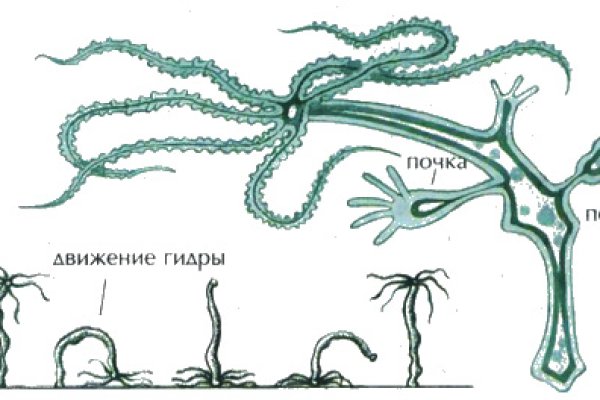 Кракен тор krakens13 at