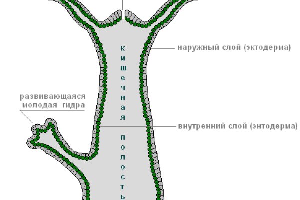 Зеркала кракен kraken014 com kraken014 com